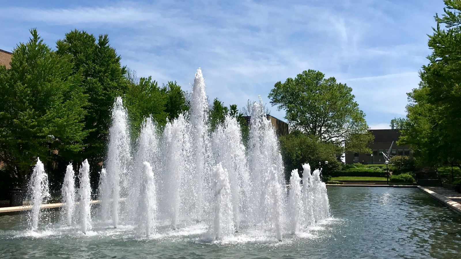 University of Michigan Fountain